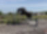 thumbnail_IMG_1842.jpg
