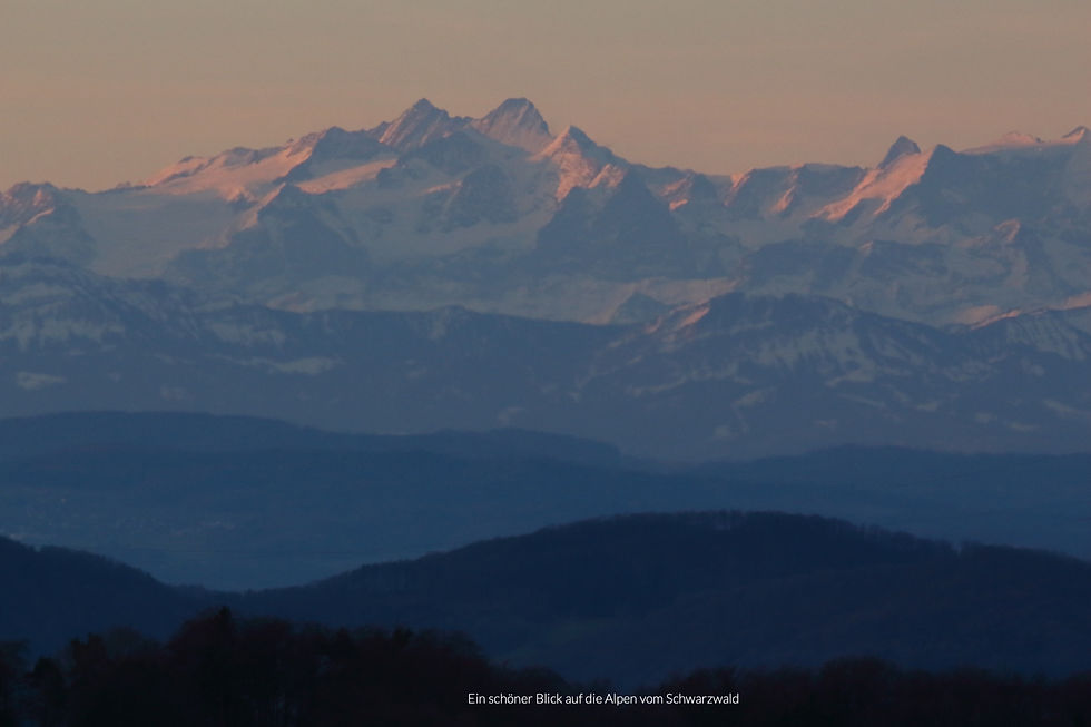 Ein schöner Blick auf die Alpen vom Schwarzwald