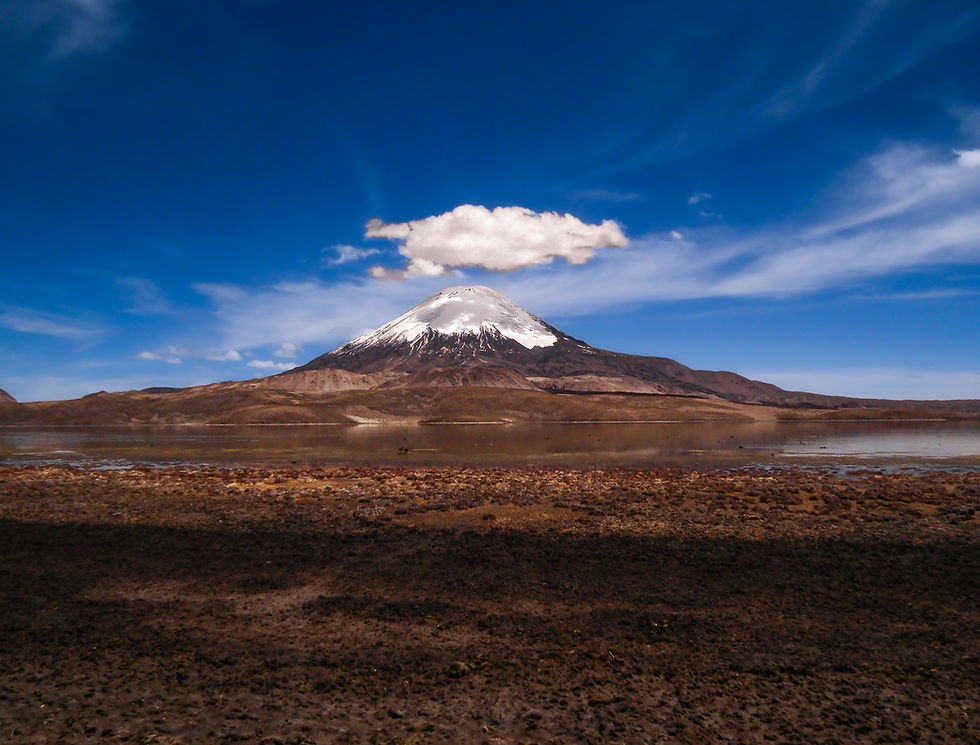 DSCF2880.jpg