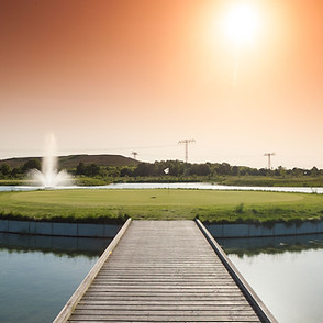 Brücke Grün 15.jpg