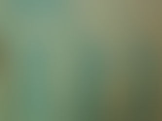 Fall Half Marathon Training