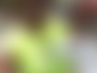 Peachtree Training (1 month to go)