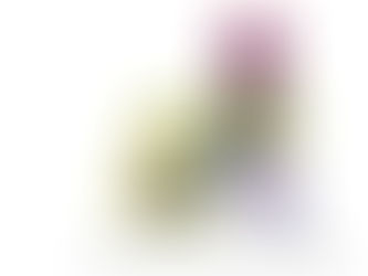 2021 Hot Chocolate ATL 15K Update