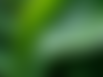 Transform Your Skin With Natural Solutions