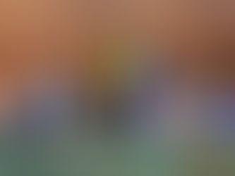 Projetos em prol da saúde marcam a sessão na tarde desta 4ª-feira