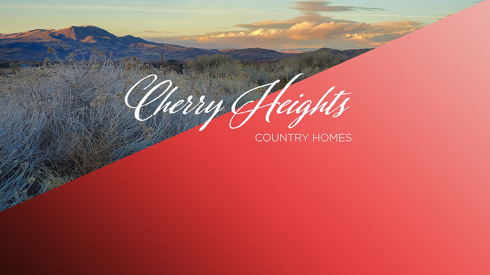 Home-page-background.jpg