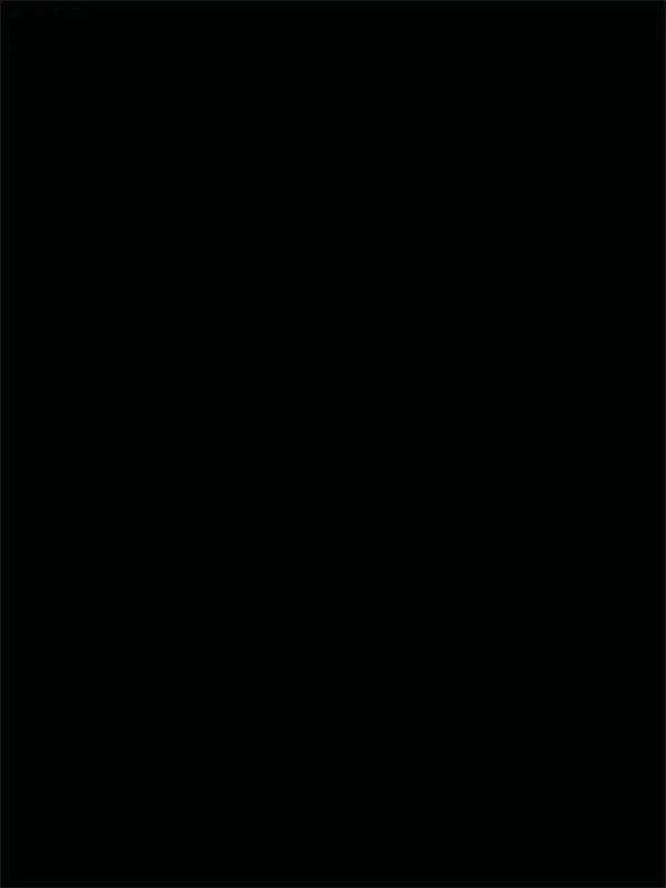 8'x10' Black Velvet Backdrop / $15 Rental