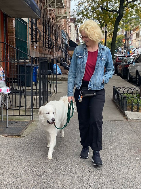 A woman walks a white dog down a Brooklyn sidewalk.