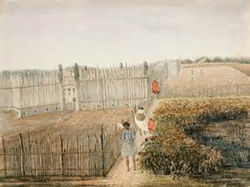 Traditional growing of crops