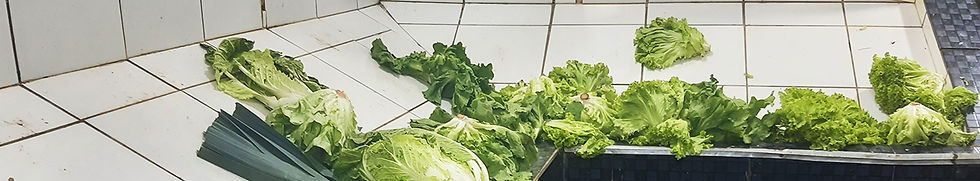 CAPA_04_Insegurança Alimentar_01_1800x333_COR.jpg