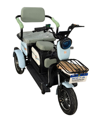 Triciclo XE-11 | Eletric Scooters
