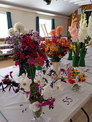 WhatsApp Image 2025-10-15 at 10.29.31_b1b9a7ae.jpg