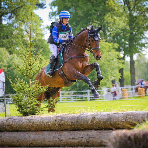 HARAS DE JARDY - FESTIVAL CCE 2023 : résultats