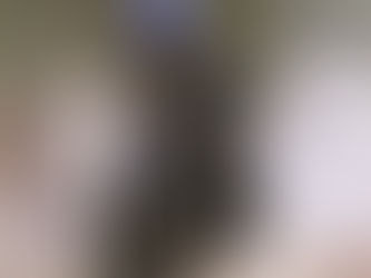 Fontainebleau Meeting d’automne : les résultats 