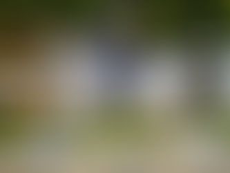 Le Grand National du Lion d'Angers : résultats