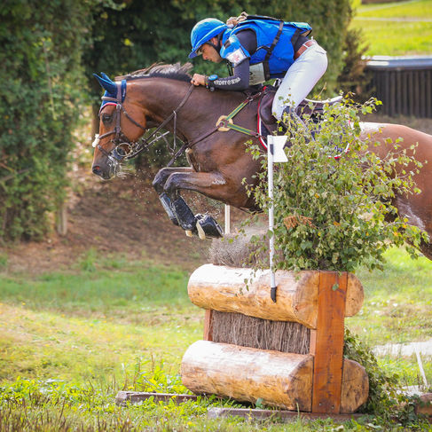 Retour sur le Grand National du Pin