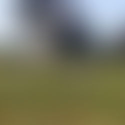 Retour sur le Grand National de Vittel