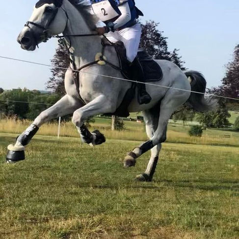 Retour sur le Grand National de Vittel