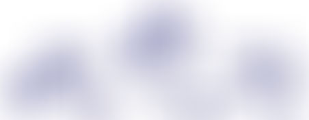 Bienvenue aux nouveaux jeunes pensionnaires