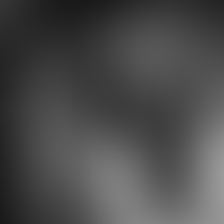 Les jeunes cavaliers 2022