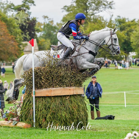 Classement Hippomundo selon les gains