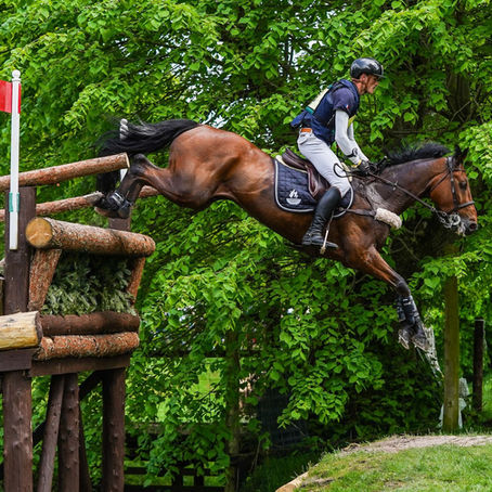 Badminton Horse trials 2024 - le cross