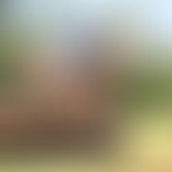 Boulerie Jump - Pôle Européen du Cheval - Le Mans : résultats