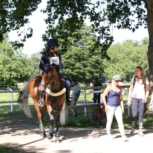 Jardy Eventing Show - Les amateurs Equi-Complet (18 juillet)