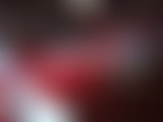 Cross Indoor de Saumur 2023 - les résultats