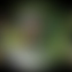 Top20 FFE des cavaliers Pro (Sénior, majors) de concours complet