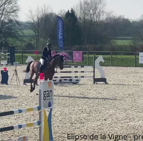 Préparatoires QUINCAMPOIX Écuries LEFEBVRE