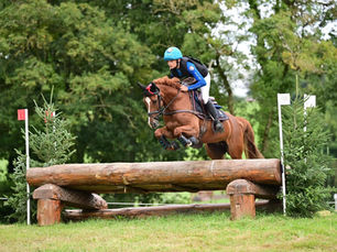 Retour sur les beaux résultats au Haras du Pin