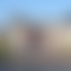 Domaine de Grosbois : CCE Amateurs