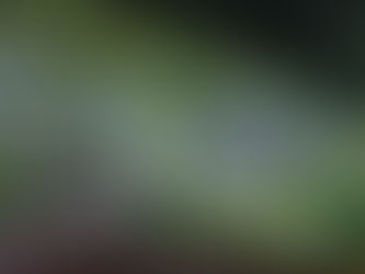 ６月２５日　練習