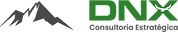 dnx_consultoria_logo_original.png