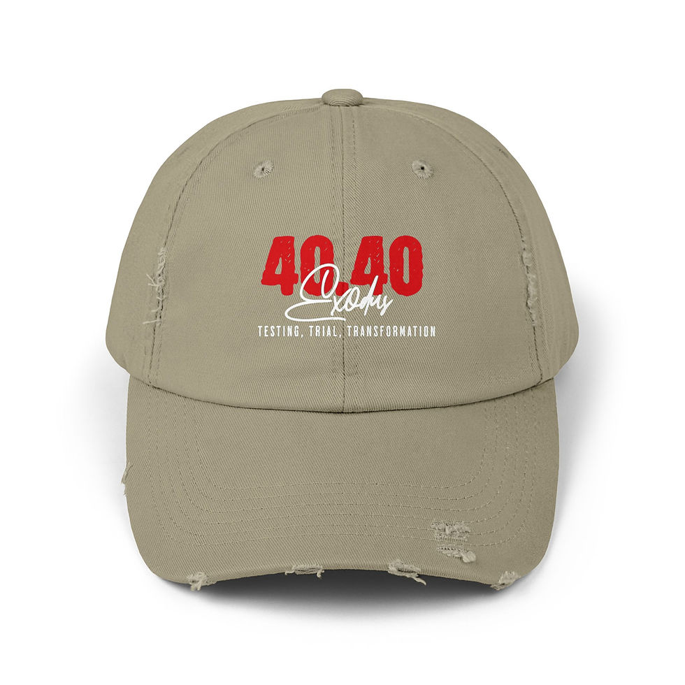 Thumbnail: 40 Days 40 Nights Distressed Cap