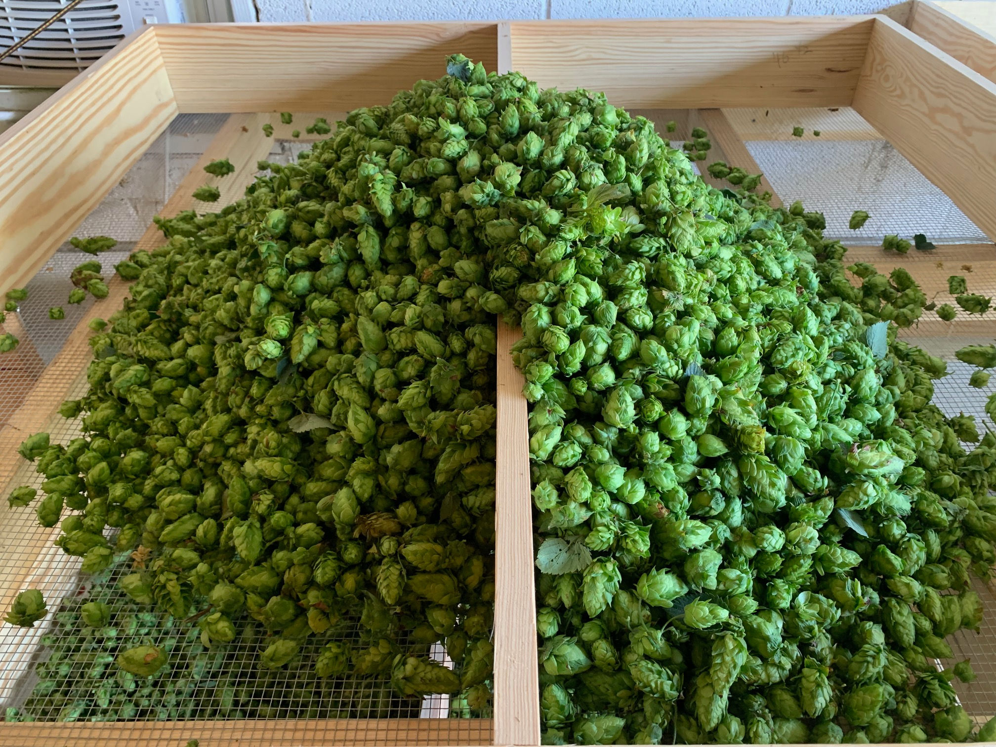 Cascade- Pellets 8oz