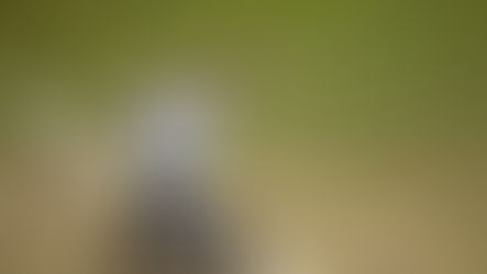 Gustavo Fernández es otra vez finalista en Wimbledon