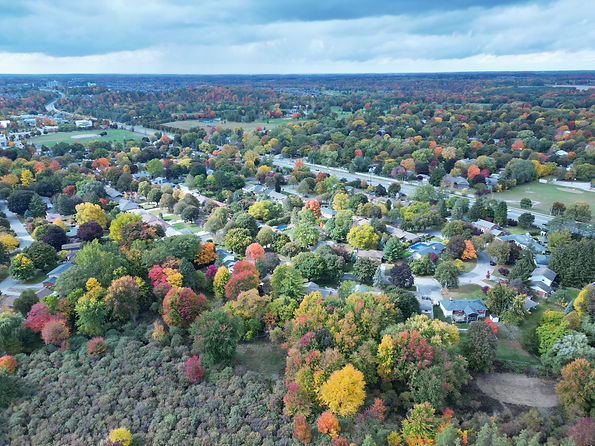 DJI_0246.JPG