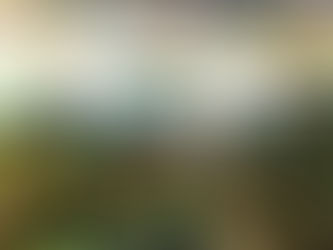 Space Place & Geographers