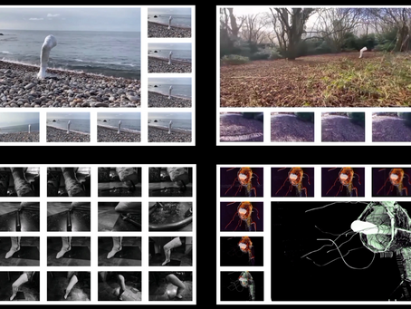 Tutorial with Anya 28.04.22 & Development work/film