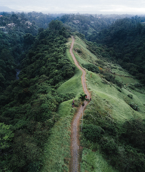 Hiking Path