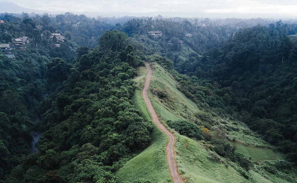 Hiking Trail