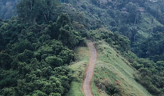 Hiking Trail