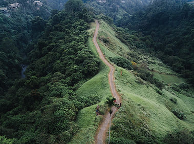 sentier de randonnée pédestre