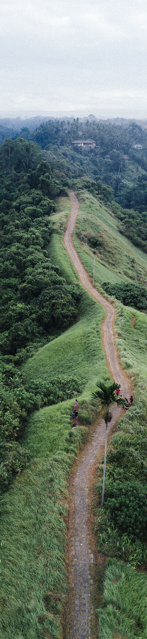 Hiking Trail