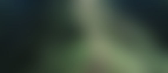 The Ethical AI Trail: A Responsibly Supported Implementation