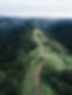 Hiking Trail