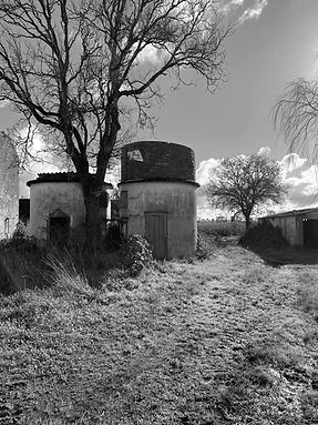 IMG_4200.jpg