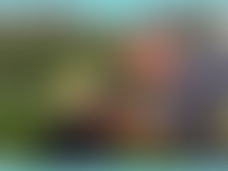 Looking Through My Lens